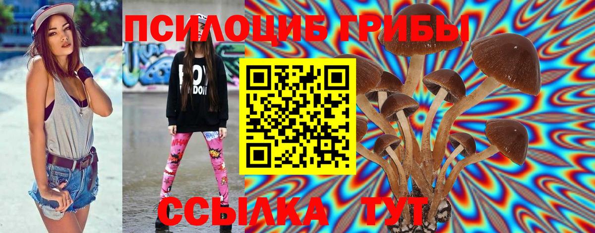 Ливны  Псилоцибиновые грибы мицелий  Вход с VPN 